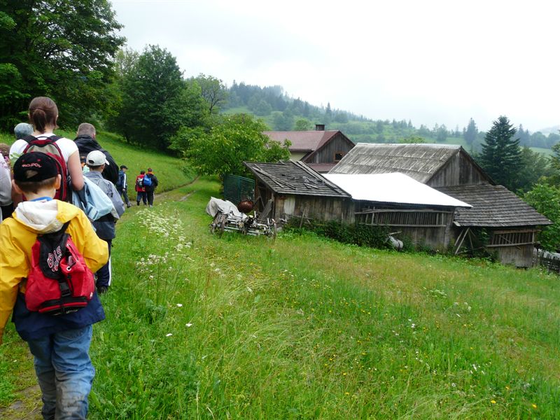 przylenkow (288)
